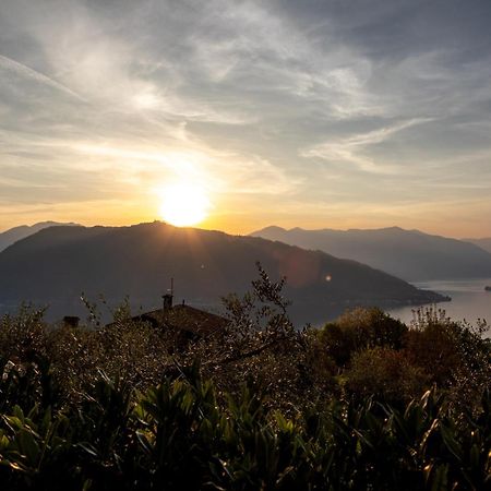 Agriturismo Da Gesi サーレ・マラジーノ エクステリア 写真