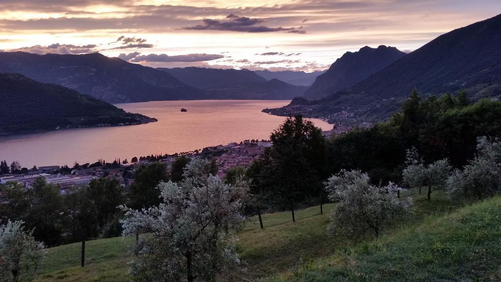 Agriturismo Da Gesi サーレ・マラジーノ エクステリア 写真
